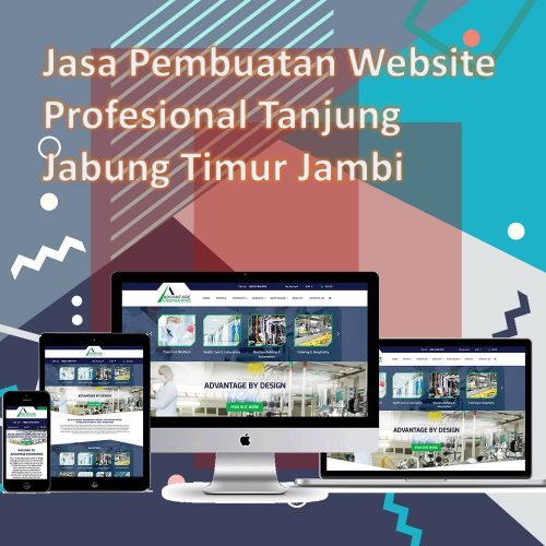 Jasa Pembuatan Website Tanjung Jabung Timur