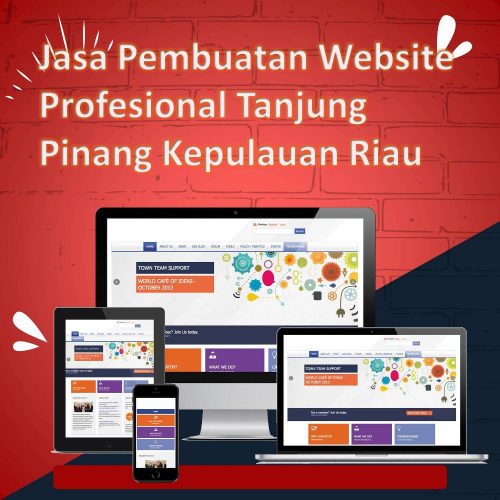 Jasa Pembuatan Website Tanjung Pinang