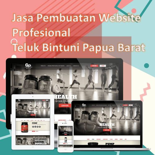 Jasa Pembuatan Website Teluk Bintuni