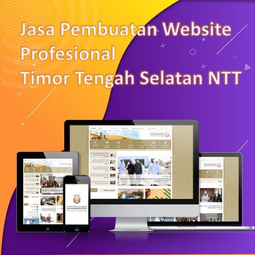 Jasa Pembuatan Website Timor Tengah Selatan