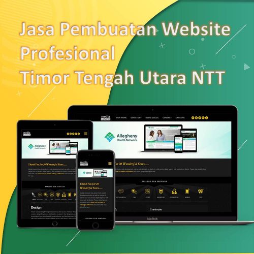 Jasa Pembuatan Website Timor Tengah Utara