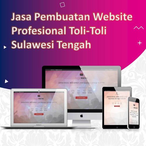 Jasa Pembuatan Website Toli-Toli