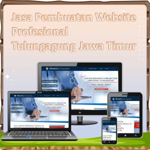 Jasa Pembuatan Website Tulungagung